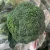 Import New Crop Top Grade Frozen Chinese Vegetables Bulk IQF Broccoli with Factory Price from China