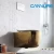 Import New Design Sanitary Ware Ceramics Rimless Back to Wall Hung Concealed Cistern Toilet from China