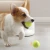 Import New Idea for Gifts 2021 Ball Launcher Other Tennis Products Dog Tennis Training Equipment from China