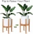 Import New Solid Wood Plant Stand Mid-century Modern Potted Plant Holder For Indoor Outdoor Planter Flower from China