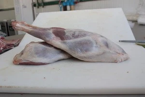 New Zealand frozen halal lamb, Mutton meat
