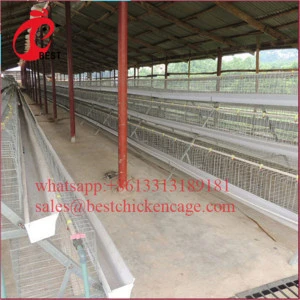 newly designed chickens feeds production galvanized animal feed manufacturing equipment poultry farm battery cages from China