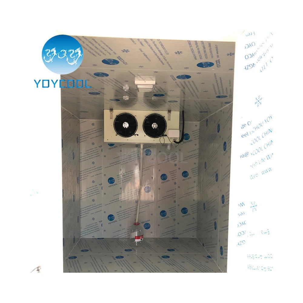 NUMBER ONE Refrigerated container cooler freezer  from YOYCOOL
