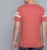 Import OEM 250 Gsm Heavy Weight T Shirt Custom Design Blank 100% Cotton Round Neck Tshirt mens tshirts Pure cotton tshirt for men best from China