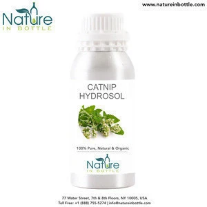 Organic Catnip Hydrosol | Catnip Hydrolat | Catmint Hydrosol - 100% Pure and Natural at bulk wholesale prices