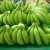 Import Organic Fresh Cavendish Banana for Sale from United Kingdom