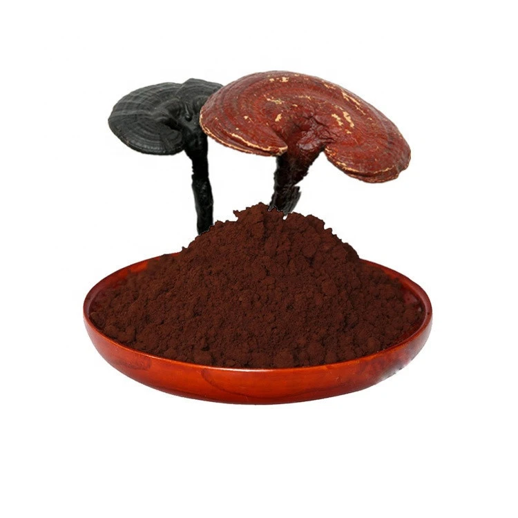 Organic Lingzhi Ganoderma Lucidum Extract 20% Polysaccharides  Reishi Mushroom Powder