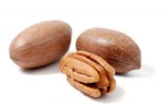 Organic Pecan Nuts Roaster/ Pecan Nuts with shell