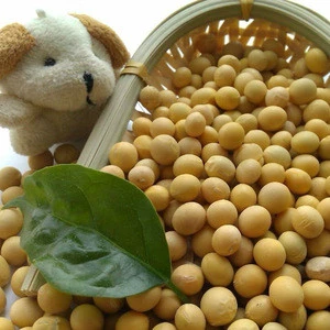 Organic soybean( New Crop)