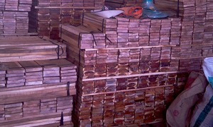 OTHER TIMBER TYPE SAWN TIMBER