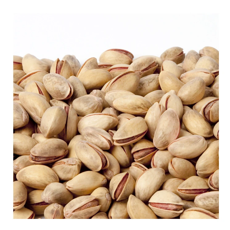 Pistachio Nuts / Pistachio Premium Quality From Thailand Wholesale In Bulk For Export