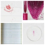 Plant root tip longitudinal section microscope prepared slides