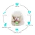 Import Popular pet Dog Toy Snacks Training Little Puppies chew resistant toys interactive pet toys from China