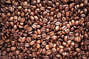 Popular robusta coffee beans in Vietnam - Wholesale for coffee beans export to USA, EU, Korea, UAE - Vietnam Green Coffee