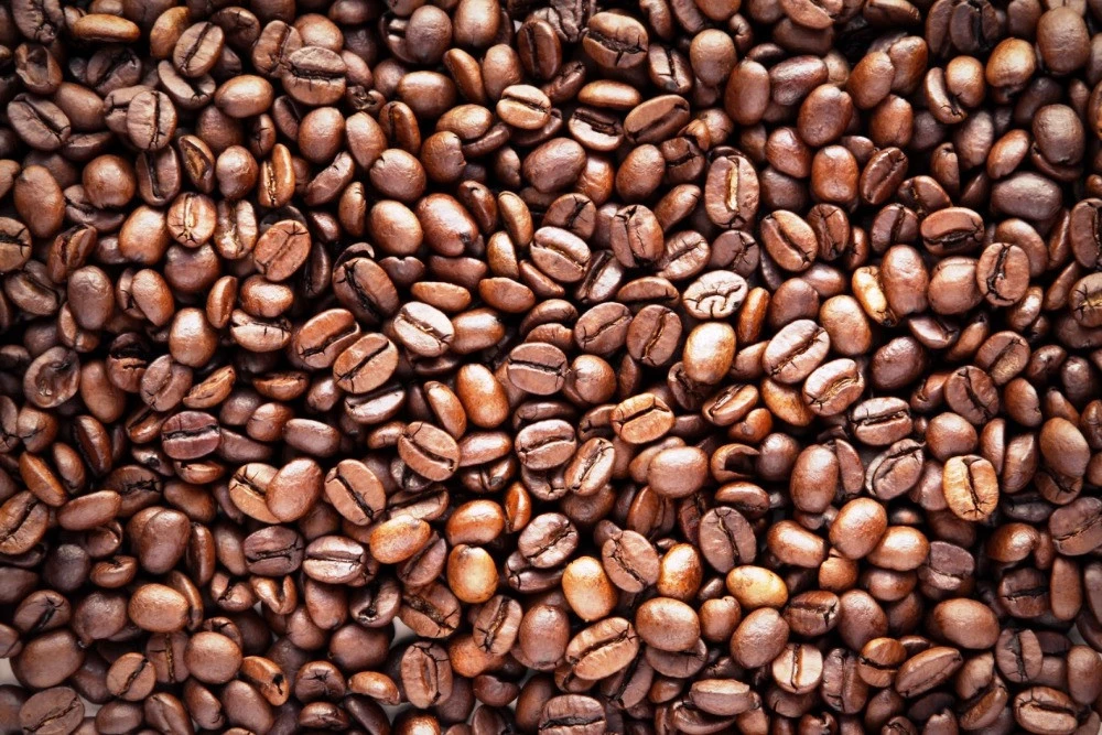 Popular robusta coffee beans in Vietnam - Wholesale for coffee beans export to USA, EU, Korea, UAE - Vietnam Green Coffee