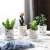 Import Popular trend custom decal home decor ceramic mini artificial succulent plant with pot from China