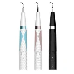 Portable Manufacturer Price Tartar Calculus Plaque Woodpecker Tip Needle Teeth Tooth Cleaner Air Sonic Ultrasonic Dental Scaler