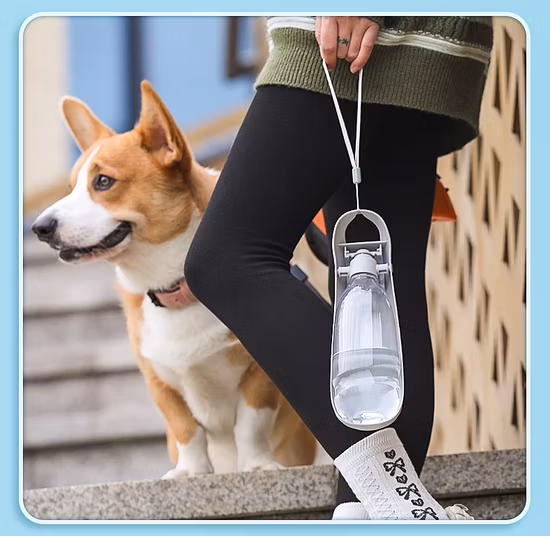 Portable Outdoor Pet Accompanying Water Bottle