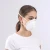 Import Powered air purifying mask chemical respirator from China