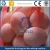 Import PP PE POLYPROPYLENE POLYETHYLENE FRUIT VEGETABLE GARLIC EGG NET BAG MAKING MACHINE from China