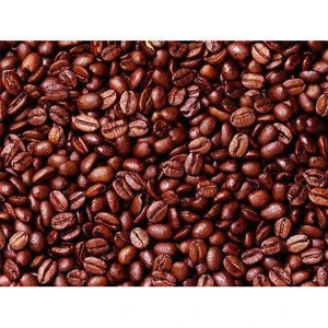 Premium Quality / best sale  Dried Criollo Cocoa Beans ,Organic Roasted Cacao Beans/
