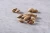 Import Premium Quality USA Origin Natural Almond Kernel from Republic of Türkiye
