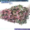 Preserved Long Stem Hydrangea Flowers Cut Fresh Flower For Wedding