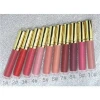 Private label 10 color matte color makeup liquid lipstick