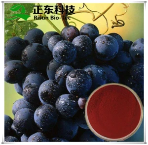 Procyanidine powder from natural grape seed extract at best price