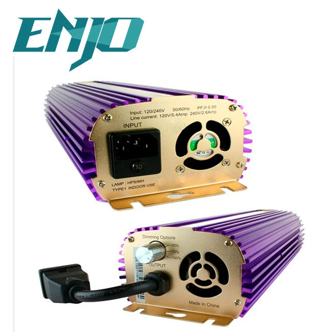 Professional electronic 600w ballast made in China