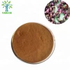Pure Natural Grape Seed Extract / OPC 95% Polyphenols 80-95%