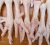 Import Quality Grade A Frozen Chicken Feet, Paws, Breast, Whole Chicken, Legs and Wings from USA