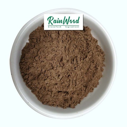 Rainwood supply high qua bee propolis extract powder bee propolis for best price bee propolis with reliable quality