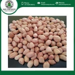 Raw Peanuts for Sale