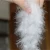 Import RDS Factory High Quality Washed 80% White Duck Down and Feather from China