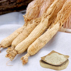Ren Shen 100% Natural herbal white panax dried ginseng white ginseng