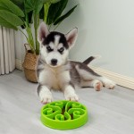 Rena Pet Multicolor Puzzle Anti-Slip Healthy Eating Interactive Small Medium Plastic Slow Feeder Dog Bowl