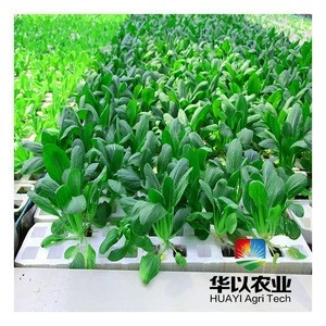 RFS nutrient planting hydroponic grow box plastic floating hydroponic trays