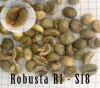 Robusta Coffee Beans With High Quality And Best Price From Vietnam