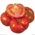 Import S511 Da fan qie Hot Sale Chinese Vegetable Seeds Tomato Seeds from China