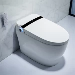 Sanitary ware western europe floor mounted s-trap inodoro automatic electric full function wc intelligent 110v smart toilet