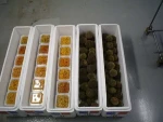 Sea Urchins With Roe