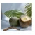 Import Semi-Husked Young Coconut Green or red Colours 100% Fresh Hat Cut Shape organic Coconut exporter from Vietnam from China