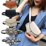 serpentine Vintage Fanny Belt Packs Casual Phone Money Pouch custom fashion fanny pack waist bag women