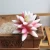 Import Simulation of succulents flying horns PVC artificial flowers artificial plants DIY supplies accessories from China
