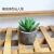 Import Small Artificial Succulent plant potted with paper pulp material base for Desk decoration Room Ornament from China