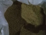 Soybean Protein Corn Gluten Meal Animal Feed, Corn Gluten Meal / Animal Feed
