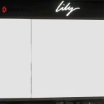 Specialized production electric heat insulation glasses smart glasses display with projector