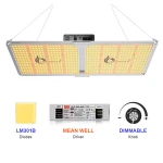 Spider SF1000 SF2000 SF4000 LED Full Spectrum Grow Lights with Samsung lm301B lm301H Chips & Dimmable MeanWell Driver UV IR Red