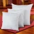 Import Square Pillow Inner Home Decor Cushion Filling Pillow Insert For Sofa from China